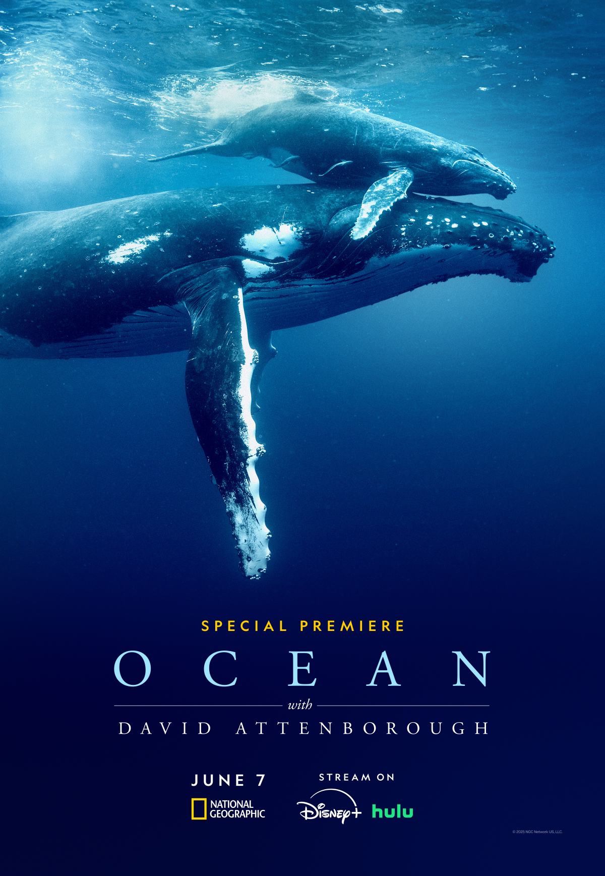 Ocean with David Attenborough