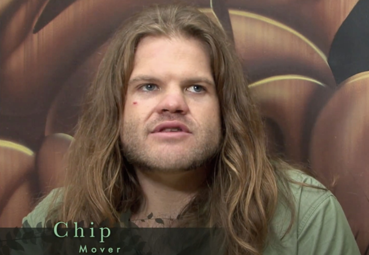 Chip
