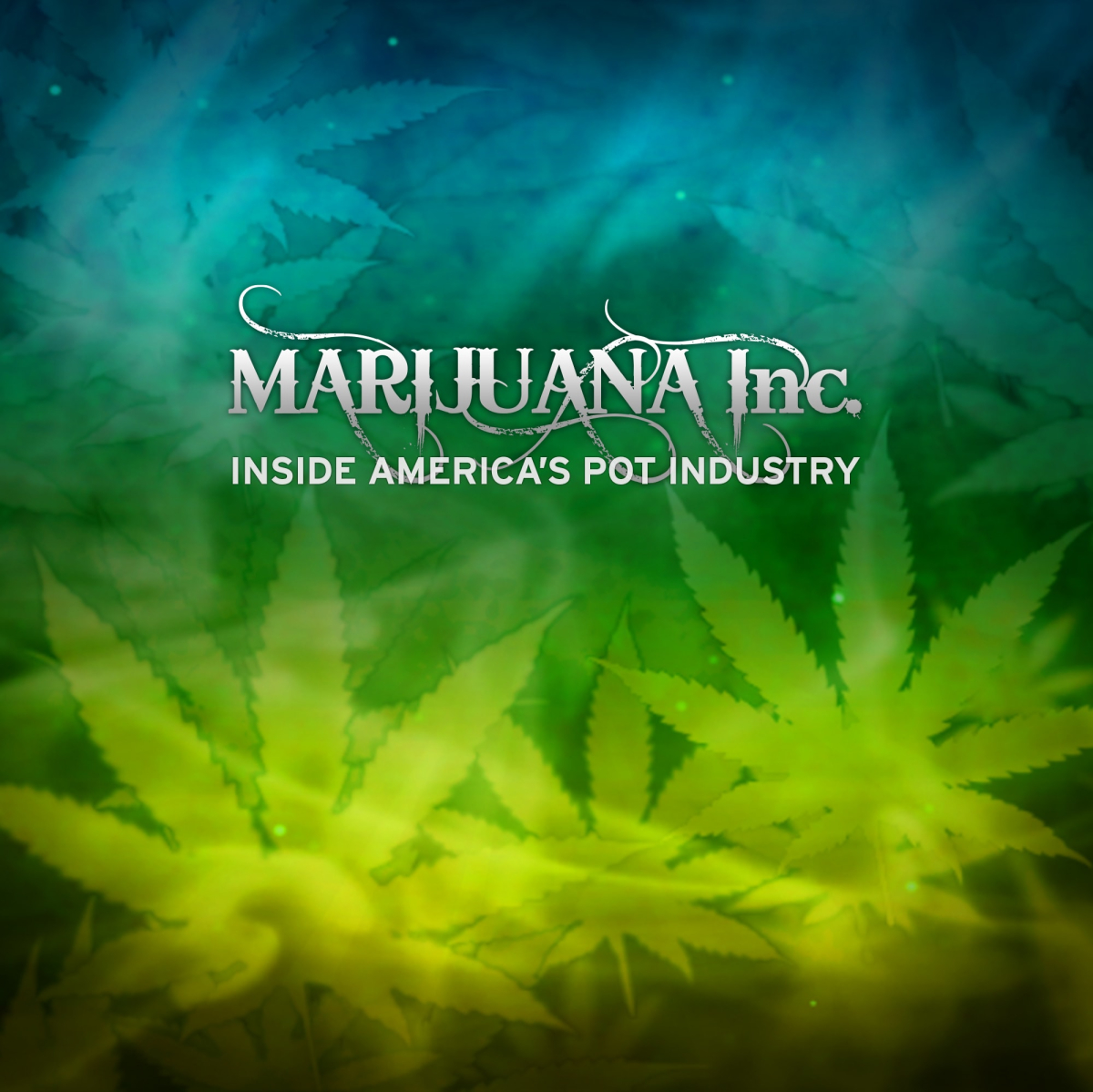 Marijuana Inc: Inside America's Pot Industry