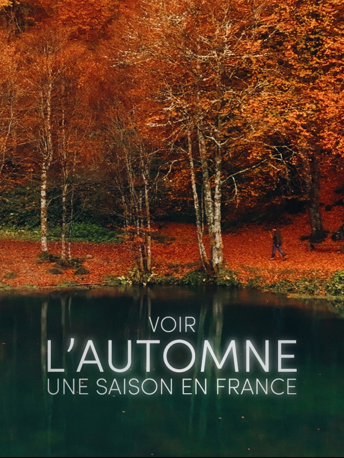 Voir l'automne, une saison en France