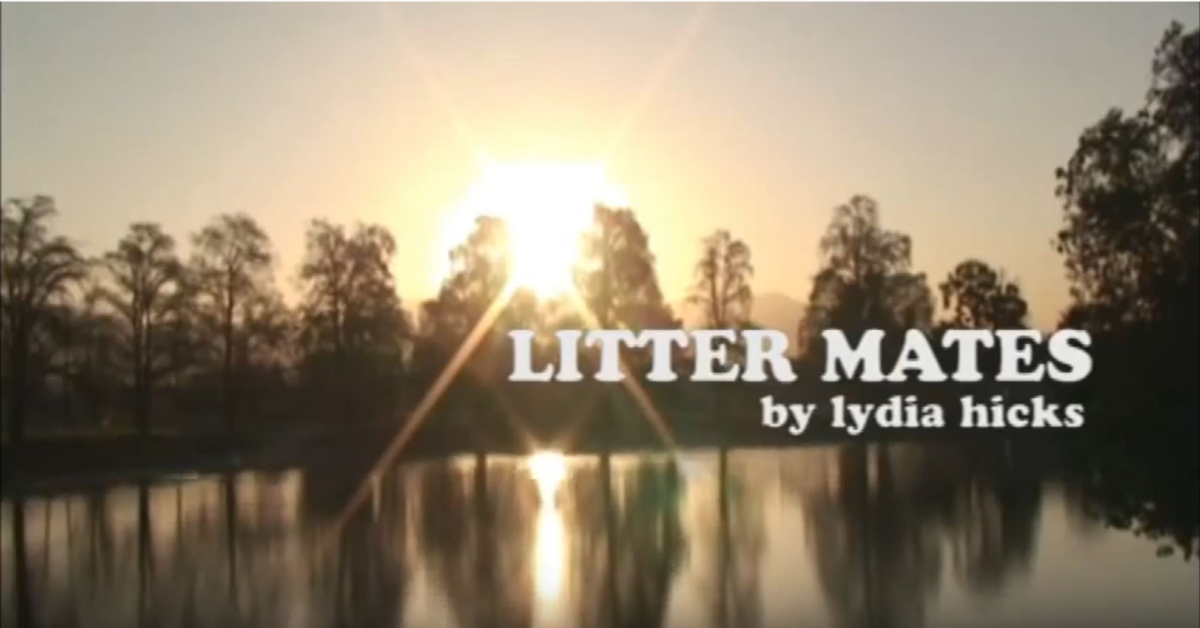 Litter Mates