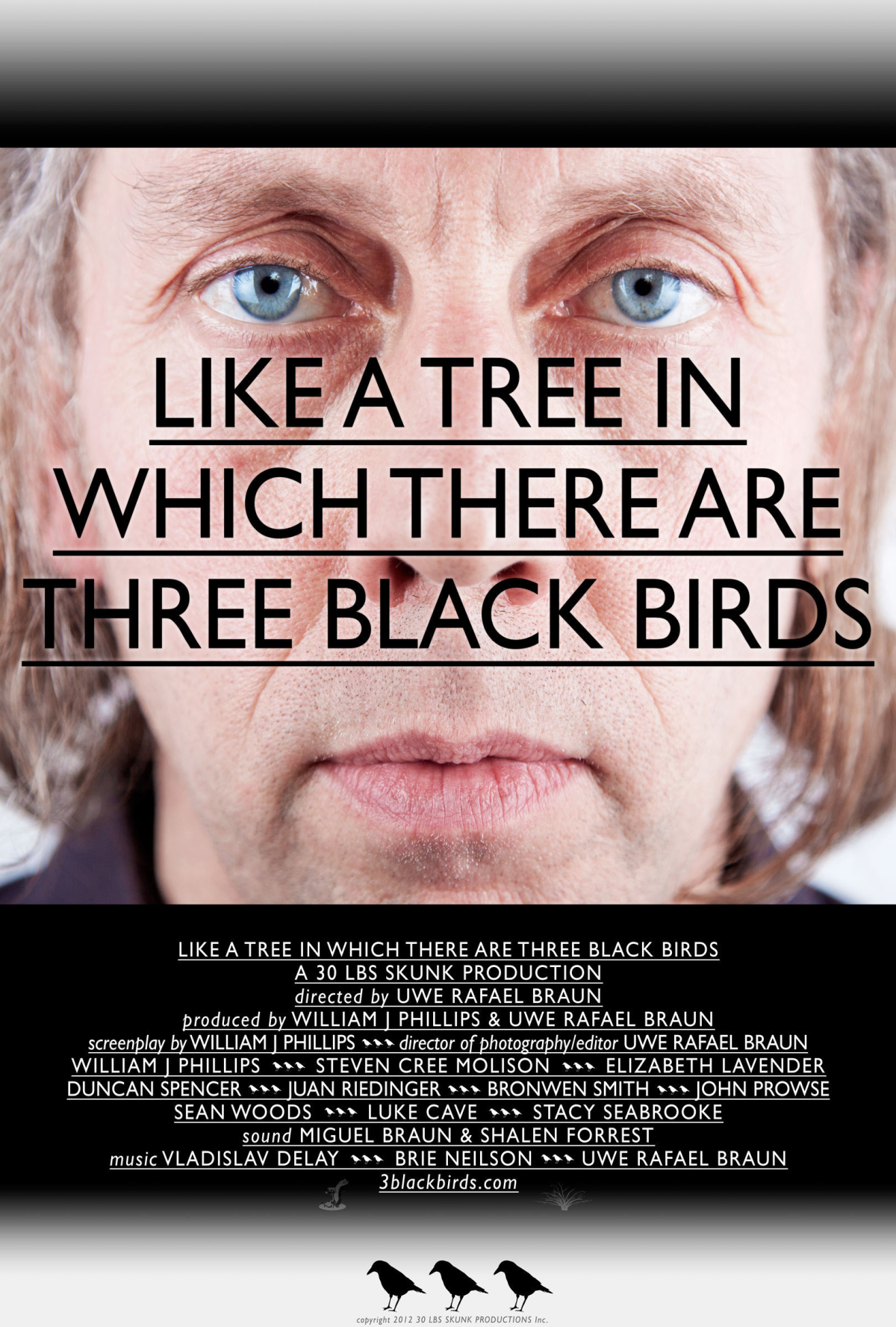 Like a Tree in Which There Are Three Black Birds