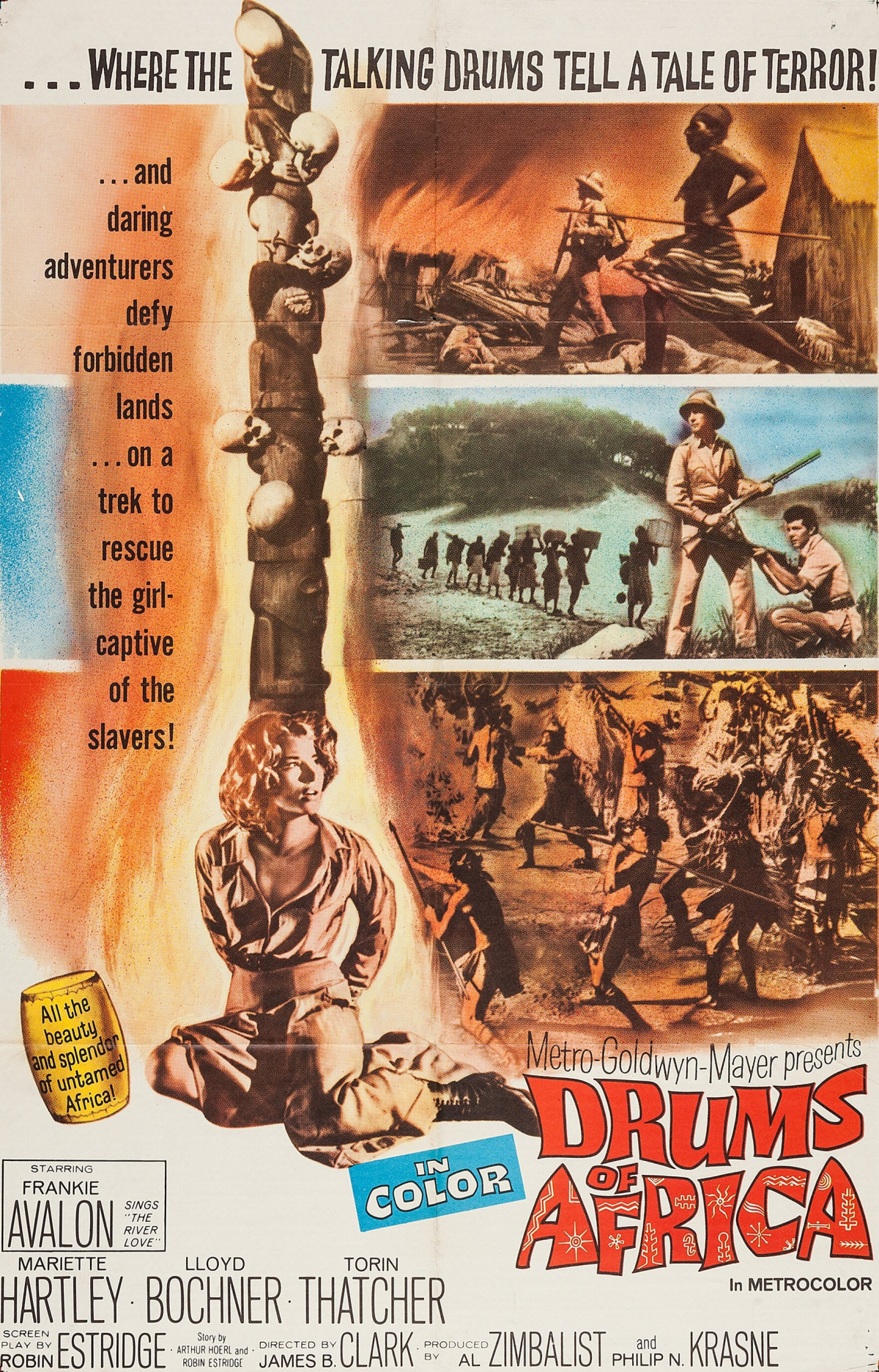 Drums of Africa