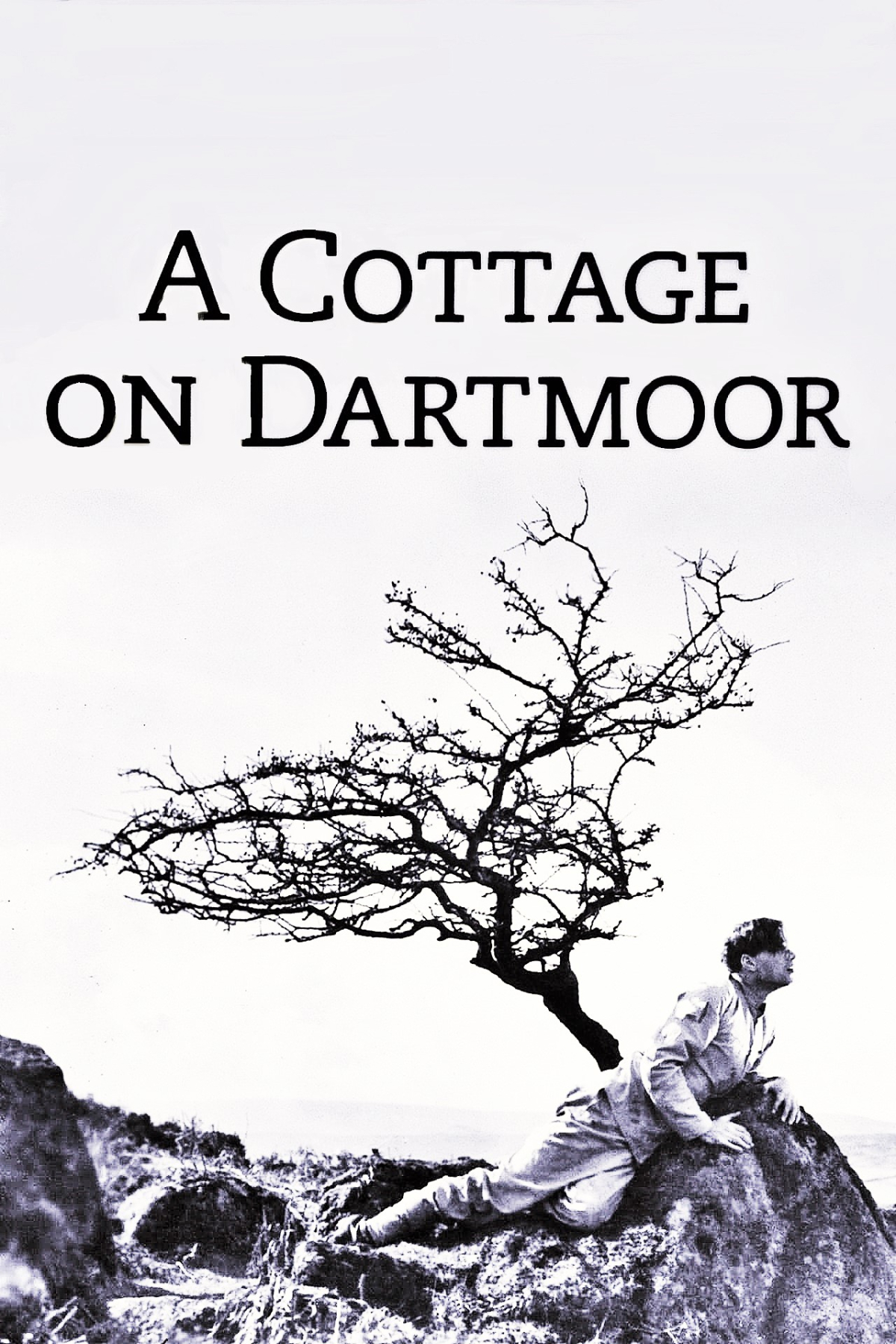 A Cottage on Dartmoor
