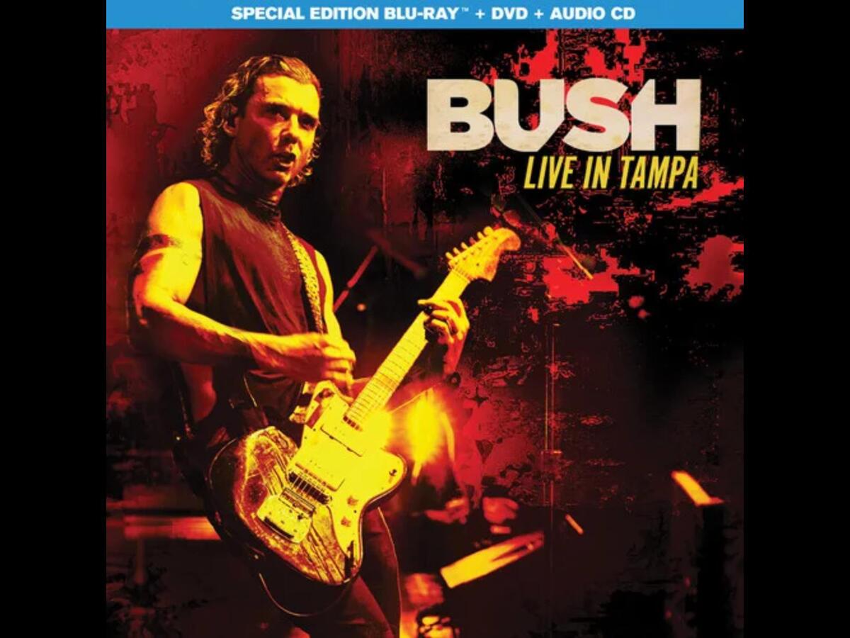Bush Live in Tampa
