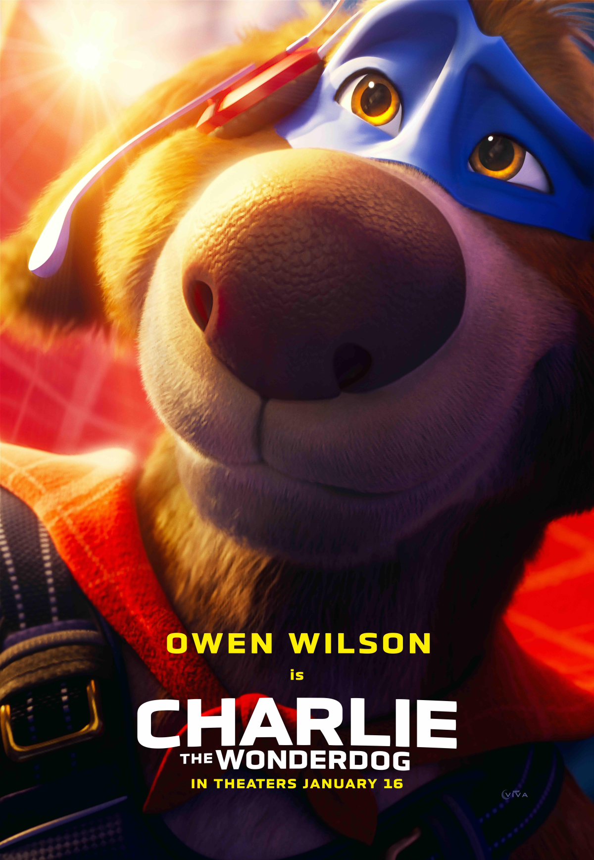 Charlie the Wonderdog