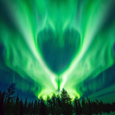 NorthernLights