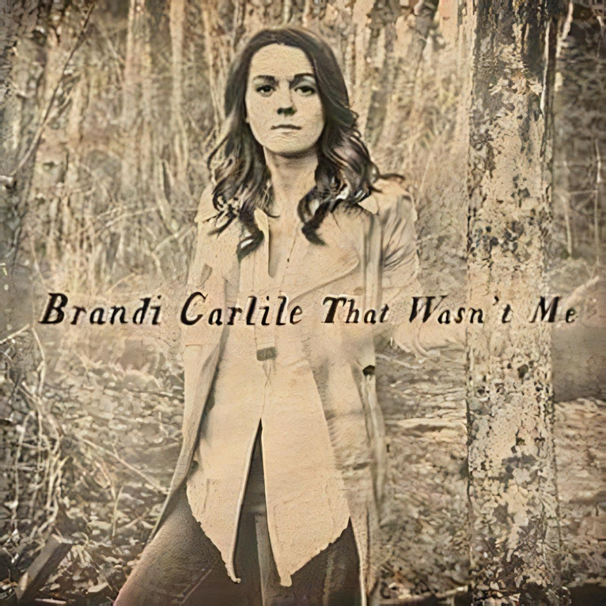 Brandi Carlile: That Wasn't Me