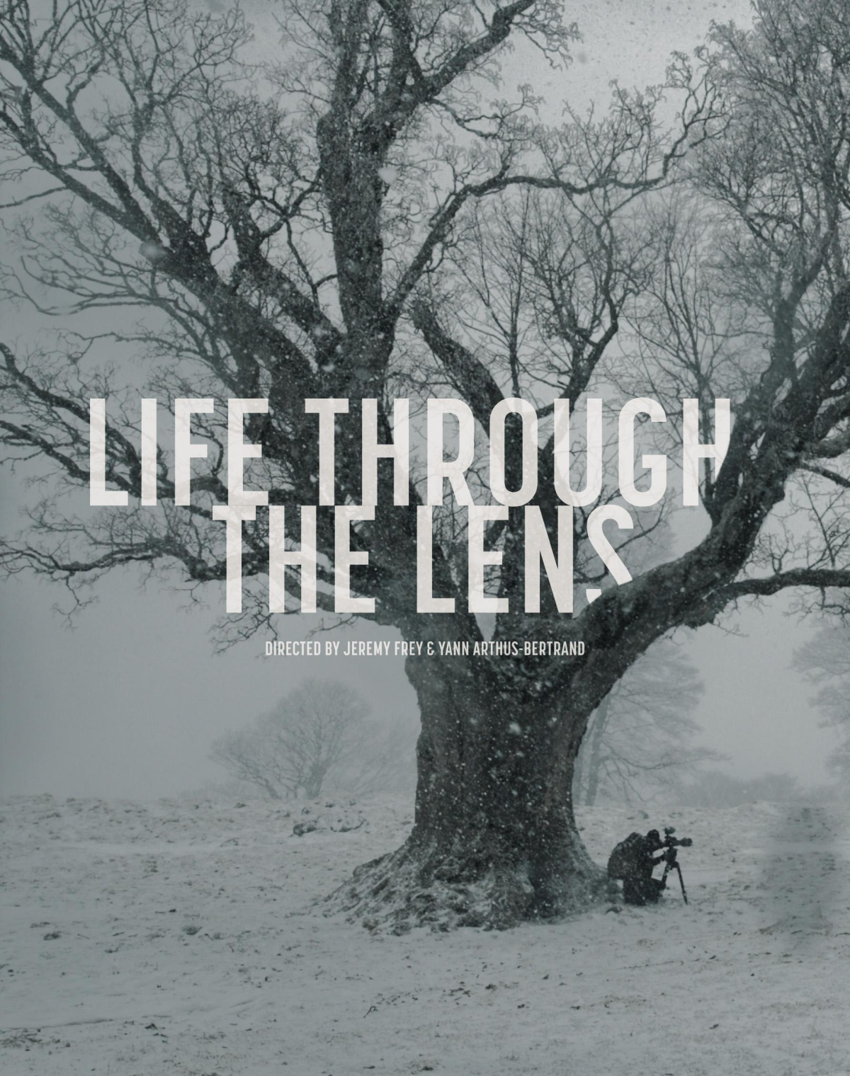 Life Through the Lens