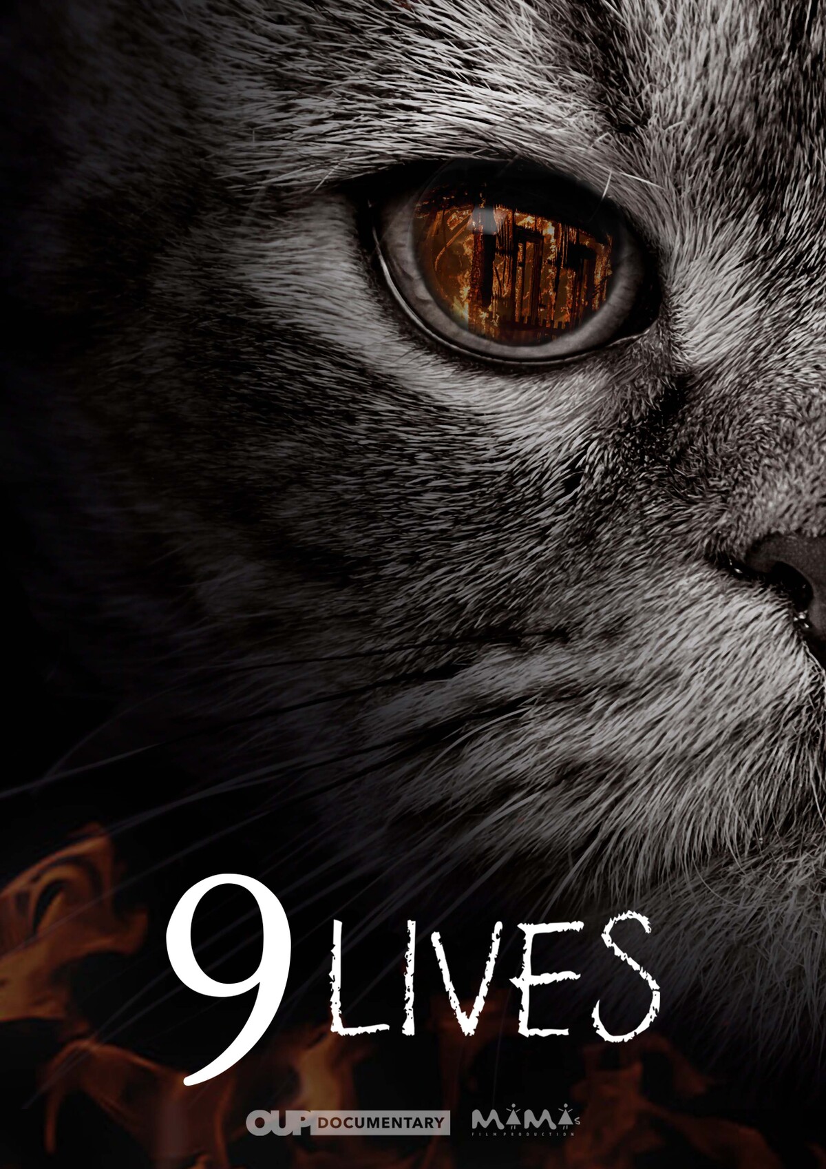 9 Lives
