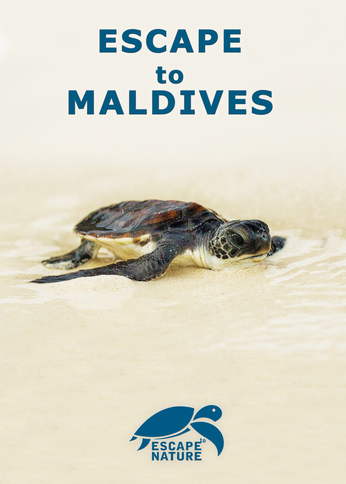 Escape to Maldives