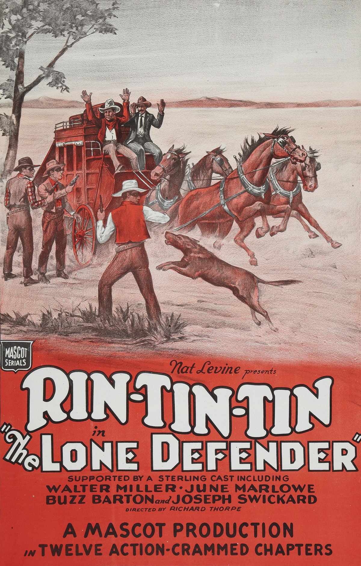 The Lone Defender
