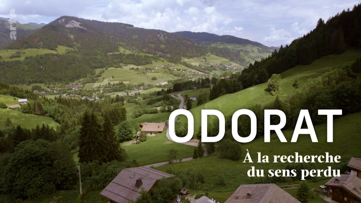 Odorat: a la recherche du sens perdu