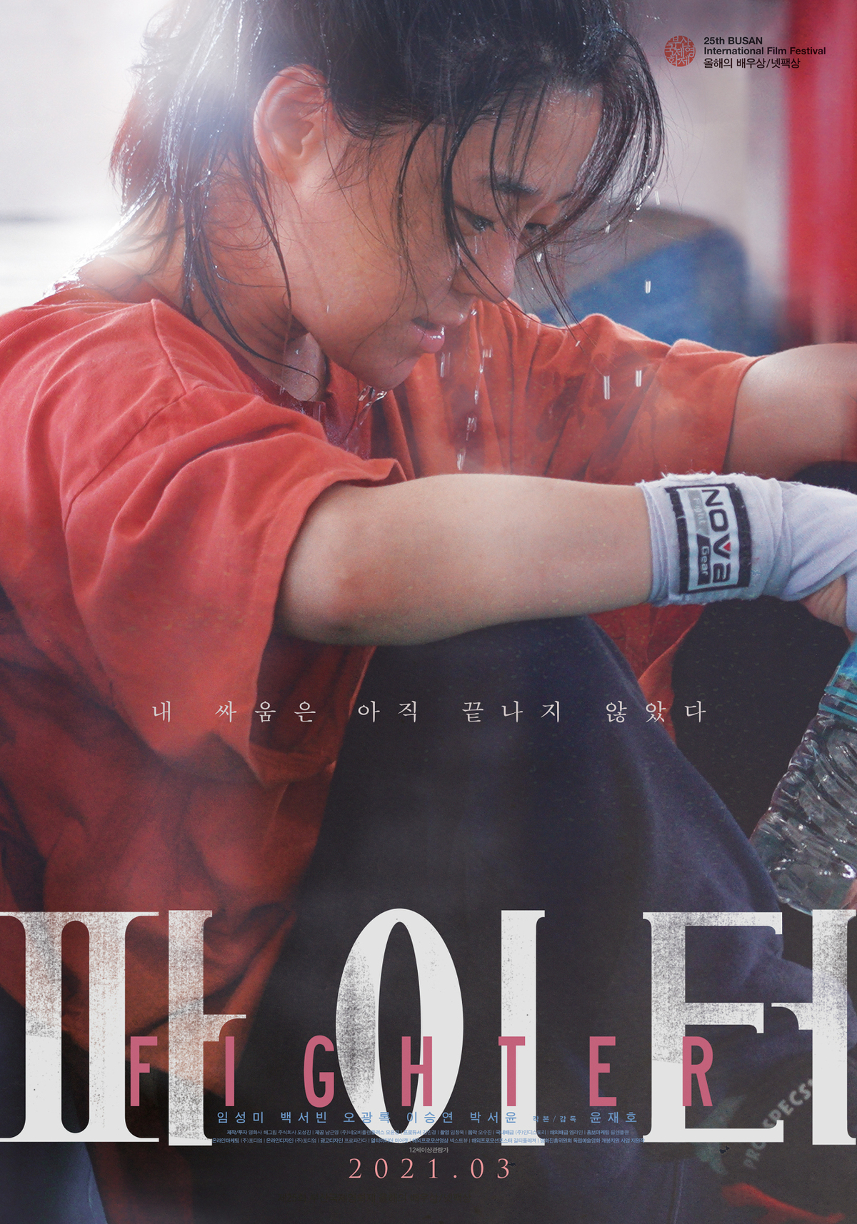 Fighter