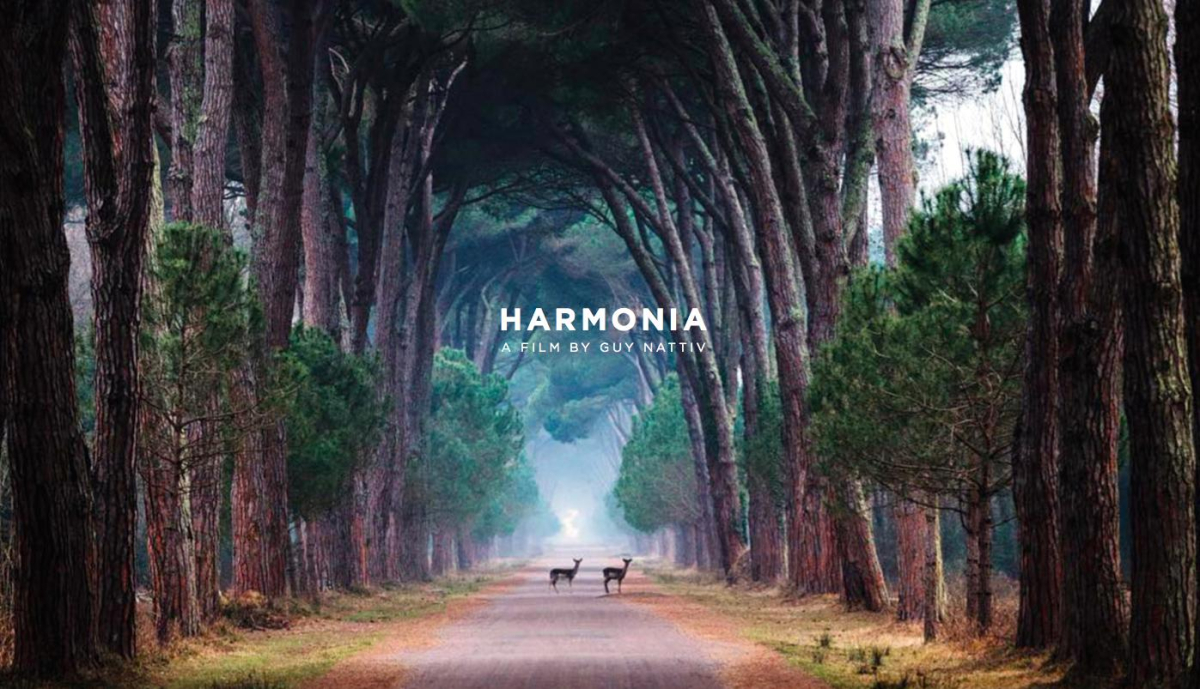 Harmonia