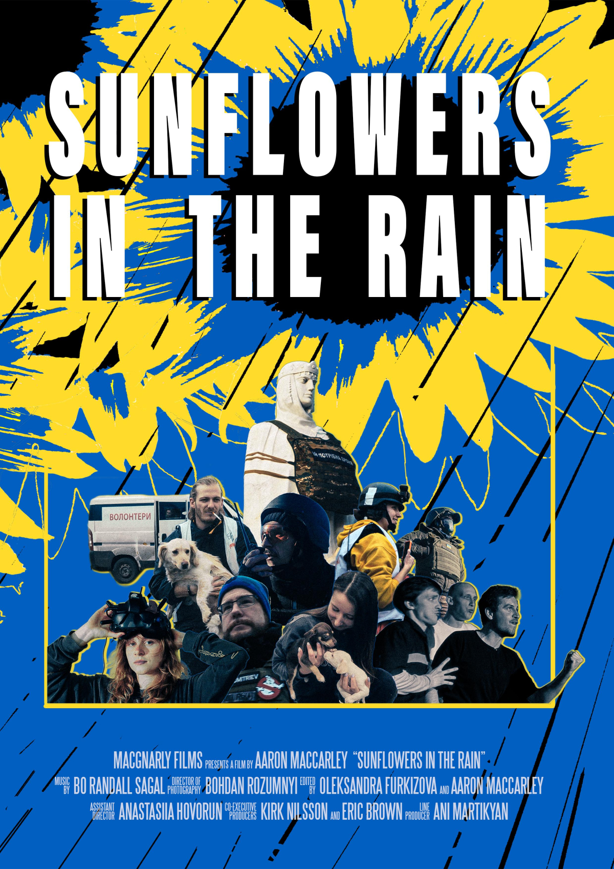 Sunflowers in the Rain