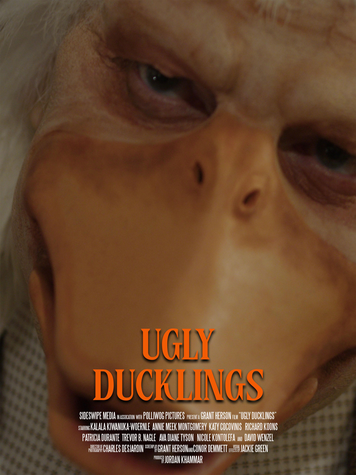 Ugly Ducklings