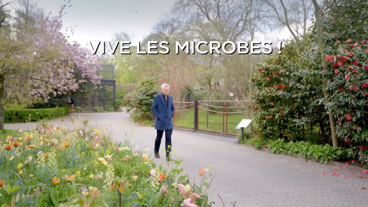 Vive les microbes