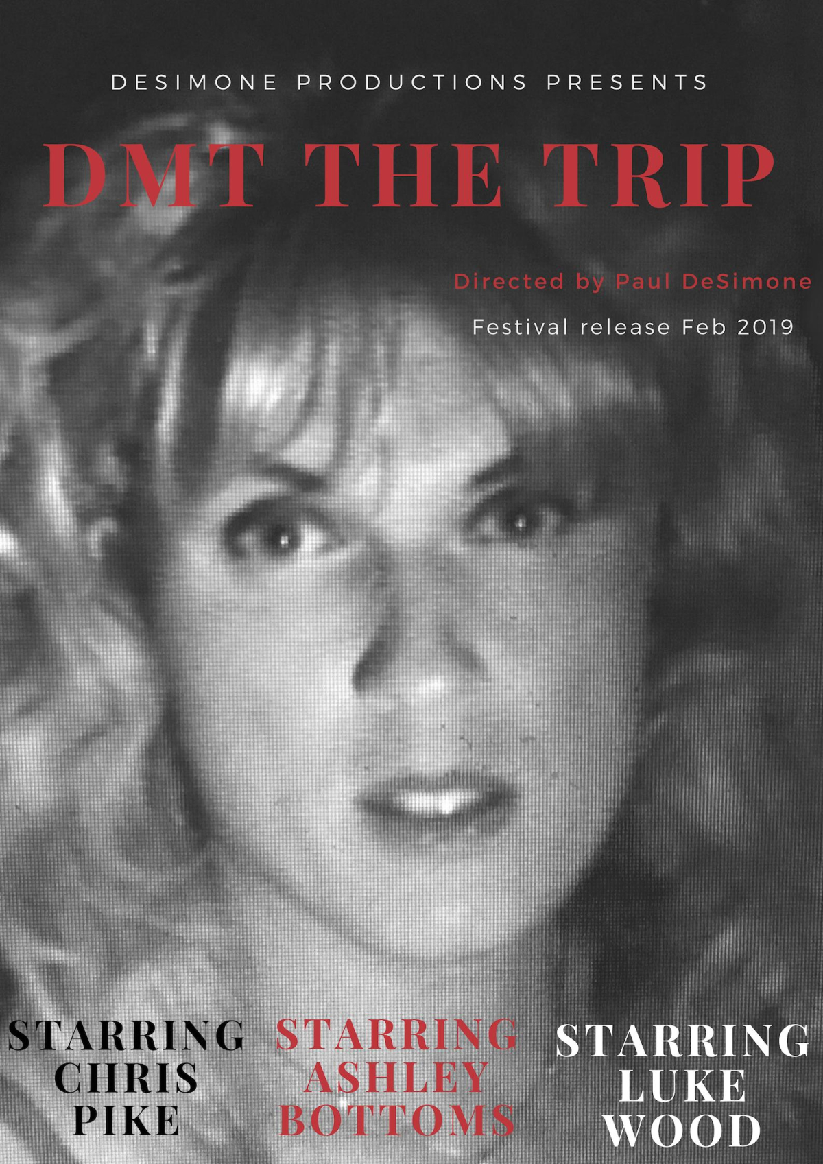 DMT The Trip