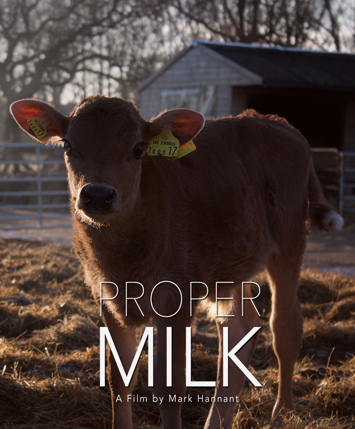 Proper Milk