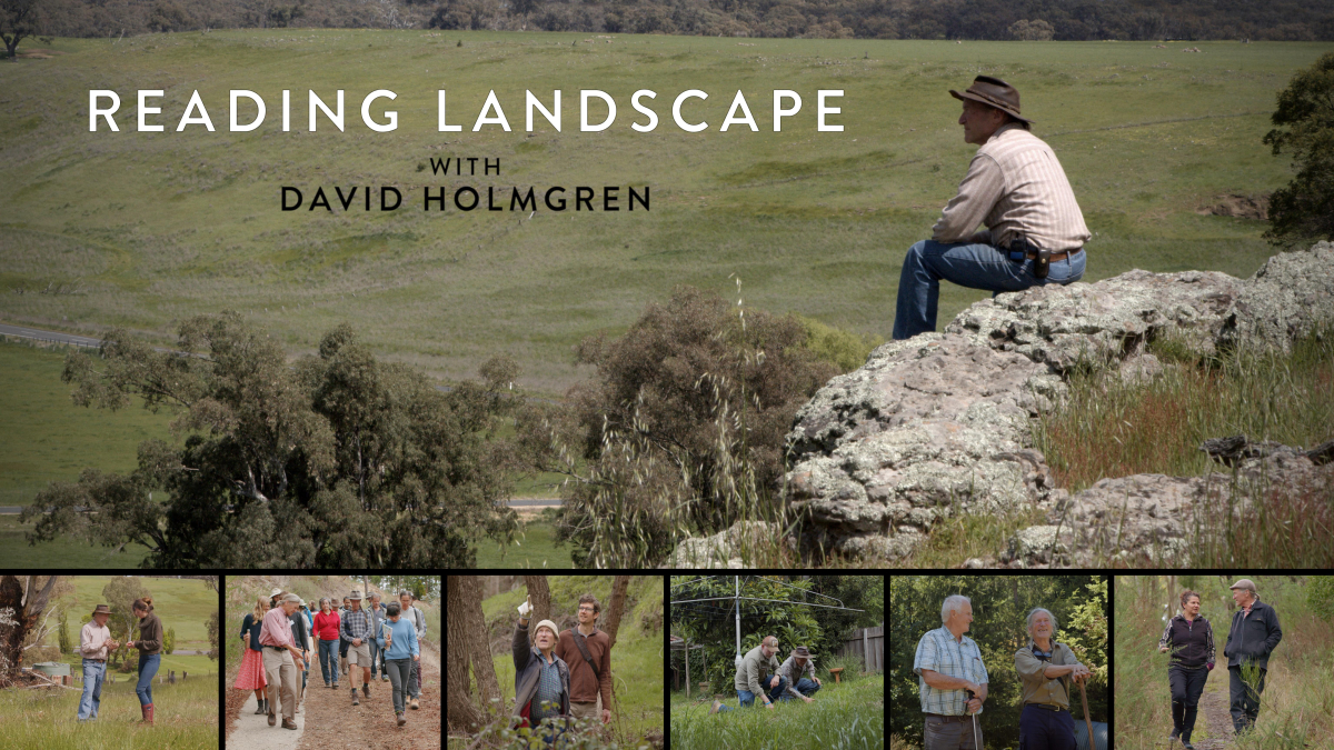 Reading Landscape with David Holmgren