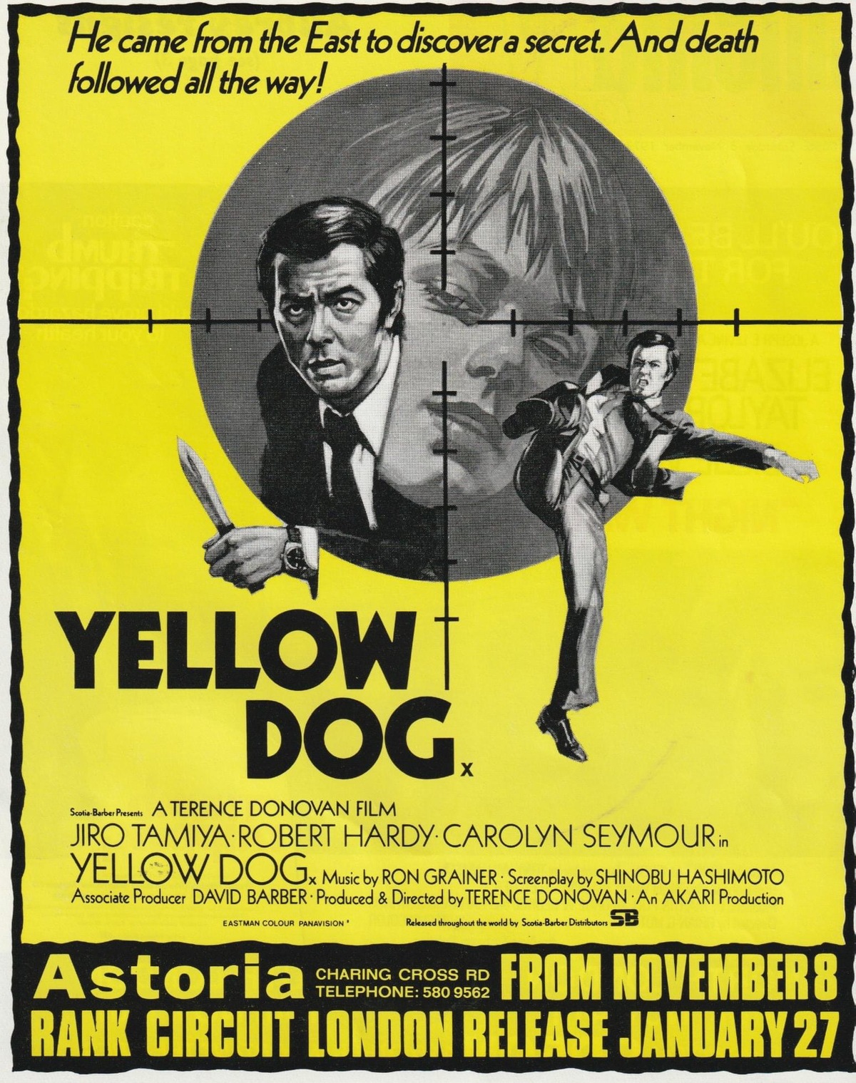 Yellow Dog