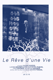 Le Reve d'une Vie