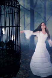 Stevie Nicks: Secret Love