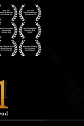 E11
