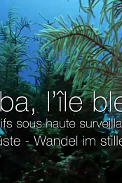 Cuba, l'ile bleue/verte