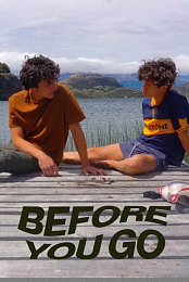 Antes de que te vayas (HDRip)