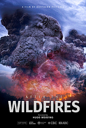 After the Wildfires