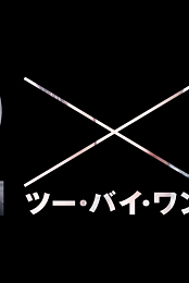 2x1