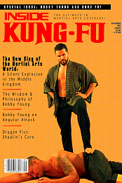 Kung Fu King