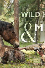 Wild Horses, the Rockies and Me