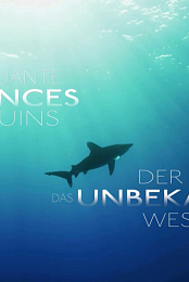 CINQUANTE NUANCES DE REQUINS(2020).VF.WEBRIP.720P.