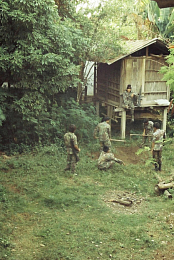 A Letter to Uncle Boonmee