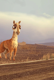 Caminandes: Llama Drama