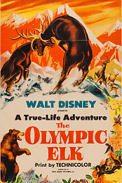A True-Life Adventure: The Olympic Elk