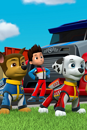 Paw Patrol: Super Rescue