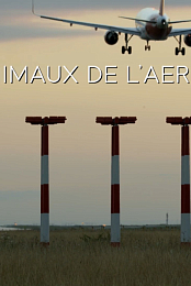 Les animaux de l'aeroport