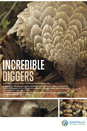Incredible Diggers