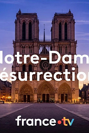 Notre-Dame resurrection