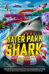 Water Park Shark