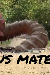 Bonus Material