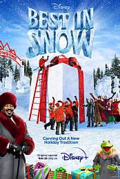 Best in Snow