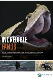 Incredible Fangs
