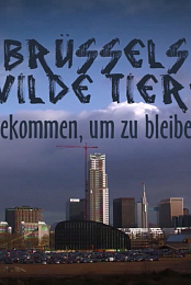 Bruxelles sauvage, faune capitale
