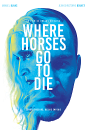 Where Horses Go to Die