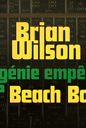 Brian Wilson - Le genie empeche des Beach Boys